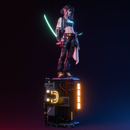 Cyber Samurai