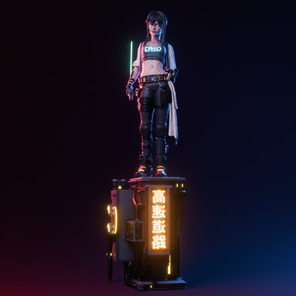 Cyber Samurai